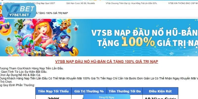 Những điều khoản và quy tắc
